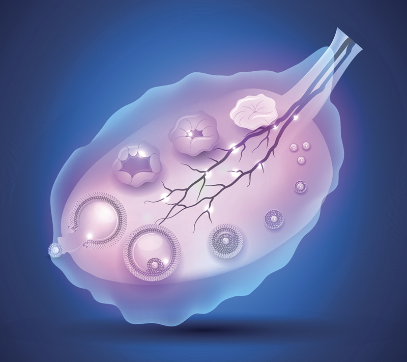 俄罗斯第三代试管婴儿哪家好！俄罗斯试管婴儿价格导航?！